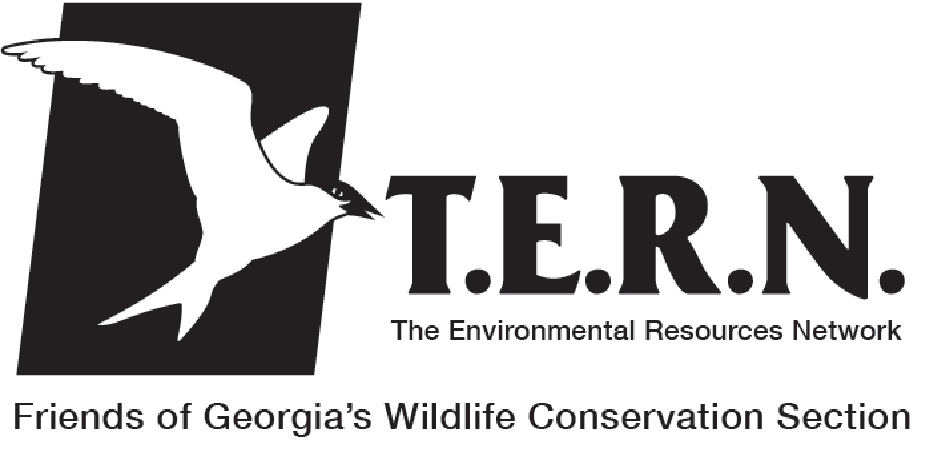 T.E.R.N. Logo